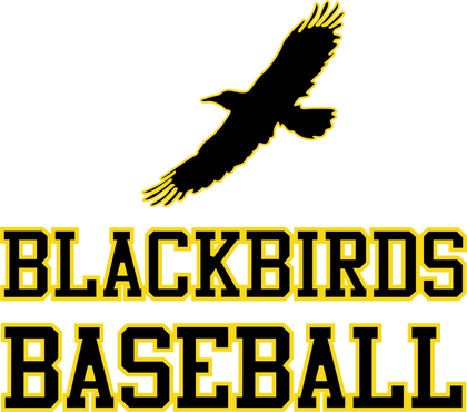 Blackbirds Baseball